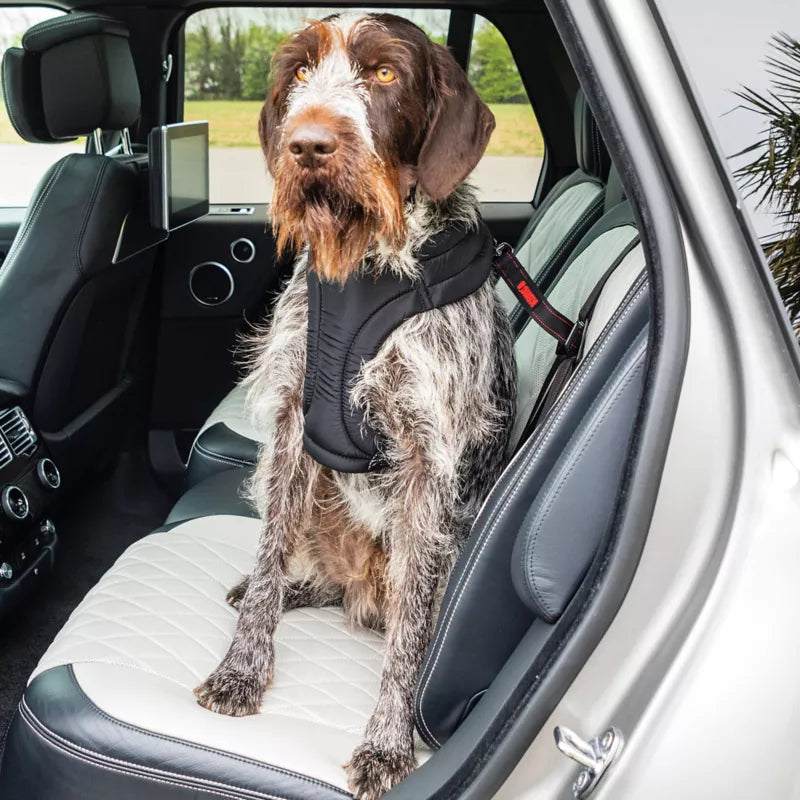 KONG® Ultimate Safety Car Seat Tether