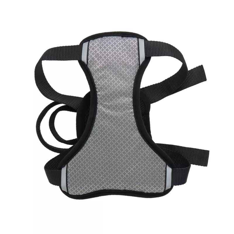 Top Paw Travel Harness