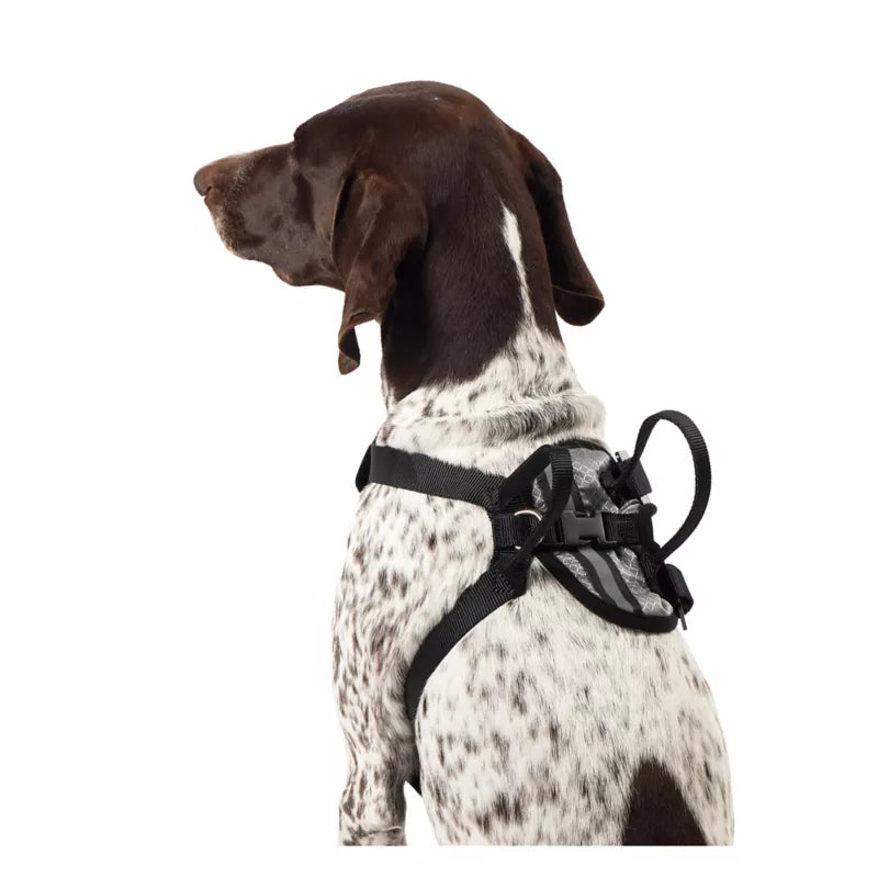 Top Paw Travel Harness