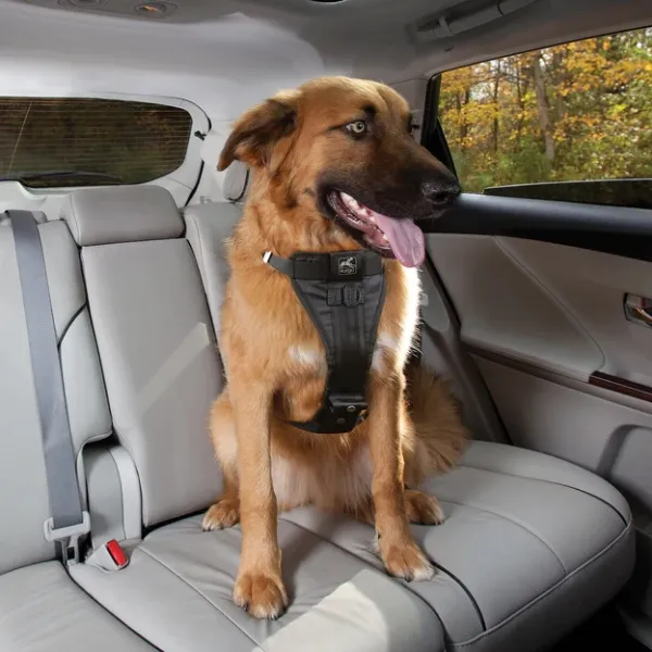 Kurgo Enhanced Strength Tru-Fit Car Harness