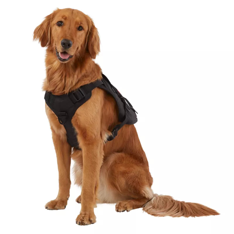 KONG® Tactical Vest Dog Harness