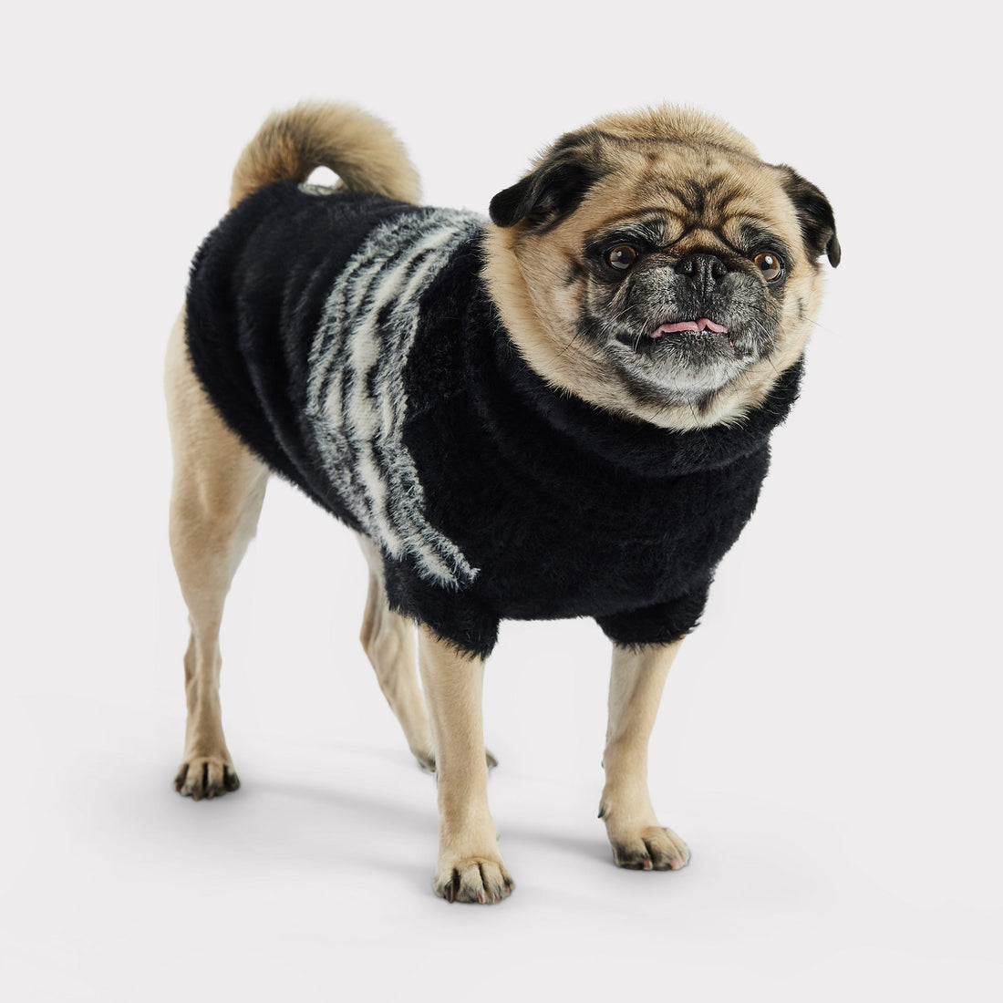 Fuzzy Dog Sweater